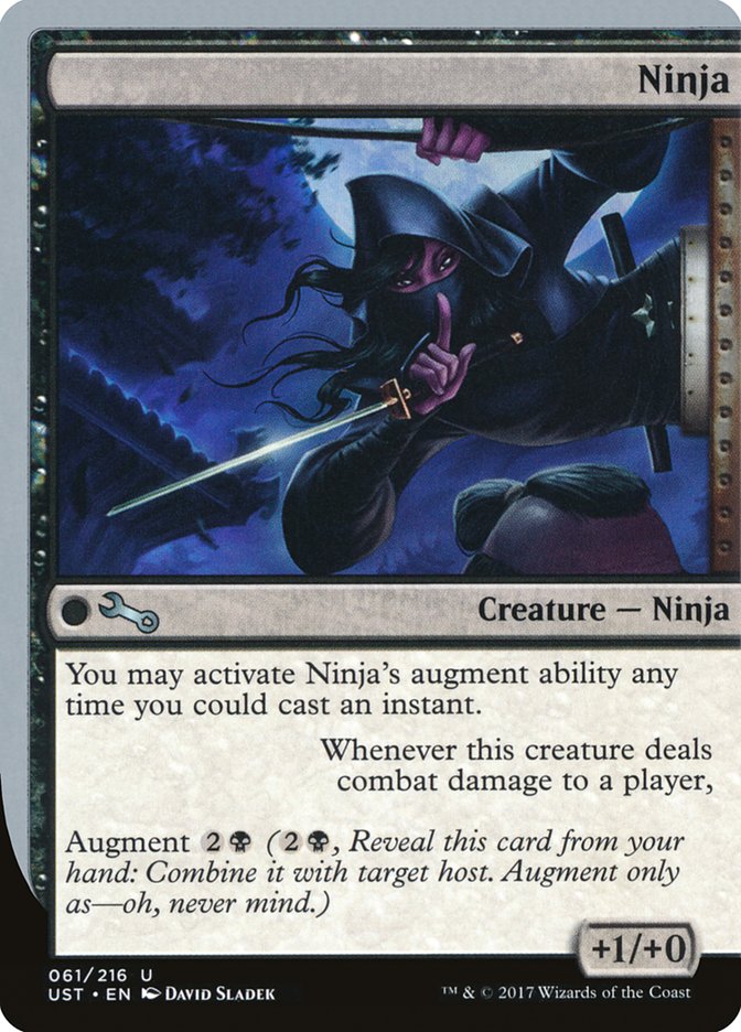 Ninja [Unstable] | Game Haven TX