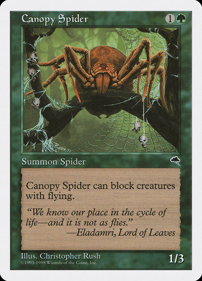 Canopy Spider [Anthologies] | Game Haven TX