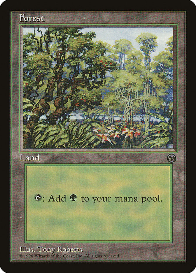 Forest [Arena League 1996] | Game Haven TX