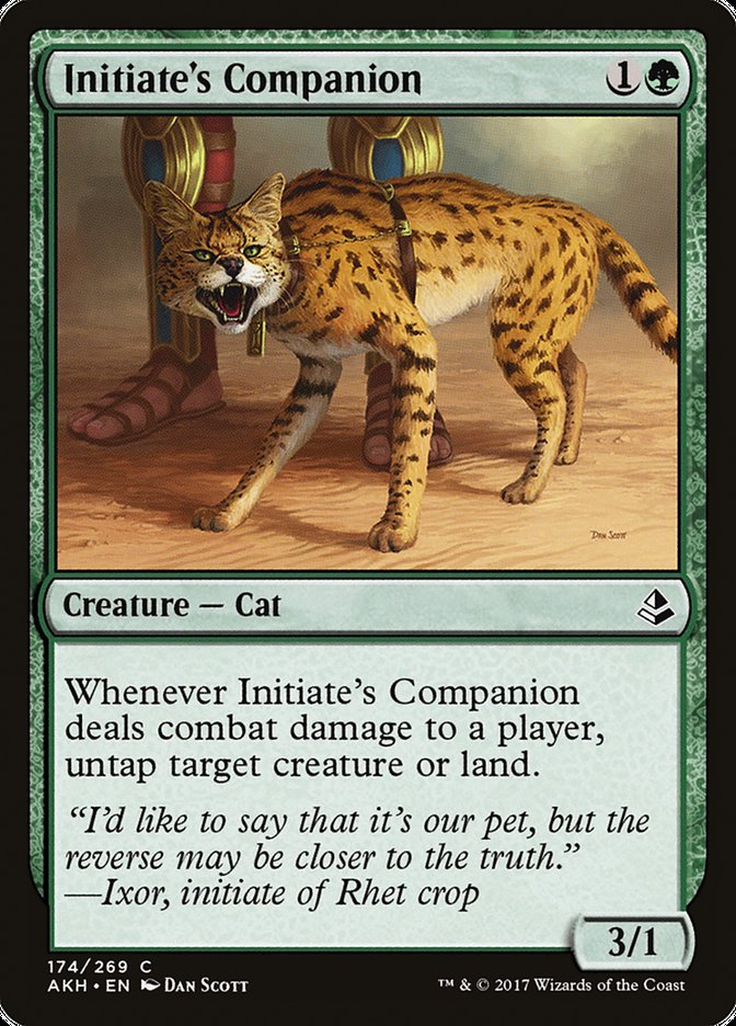 Initiate's Companion [Amonkhet] | Game Haven TX
