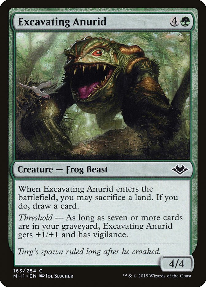 Excavating Anurid [Modern Horizons] | Game Haven TX