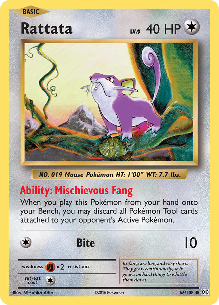 Rattata (66/108) [XY: Evolutions] | Game Haven TX