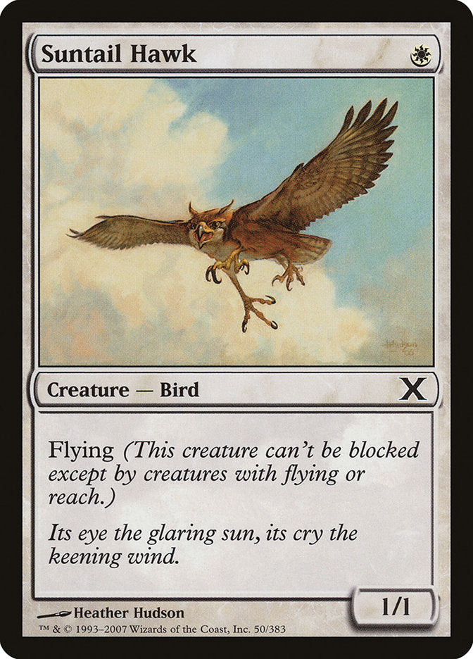 Suntail Hawk [Tenth Edition] | Game Haven TX