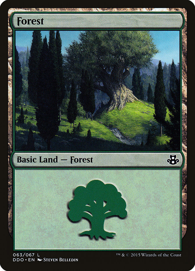 Forest [Duel Decks: Elspeth vs. Kiora] | Game Haven TX
