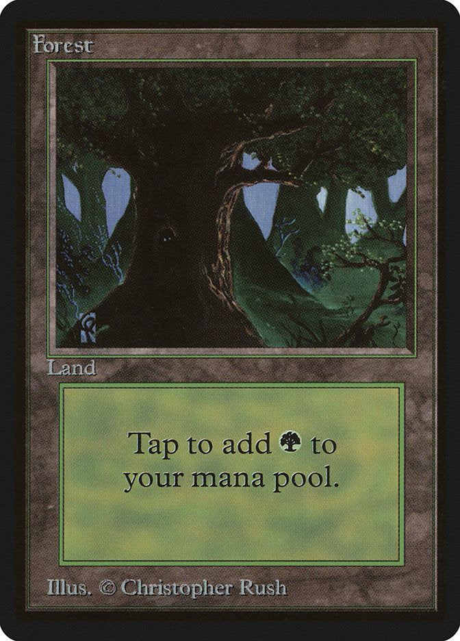 Forest [Limited Edition Beta] | Game Haven TX