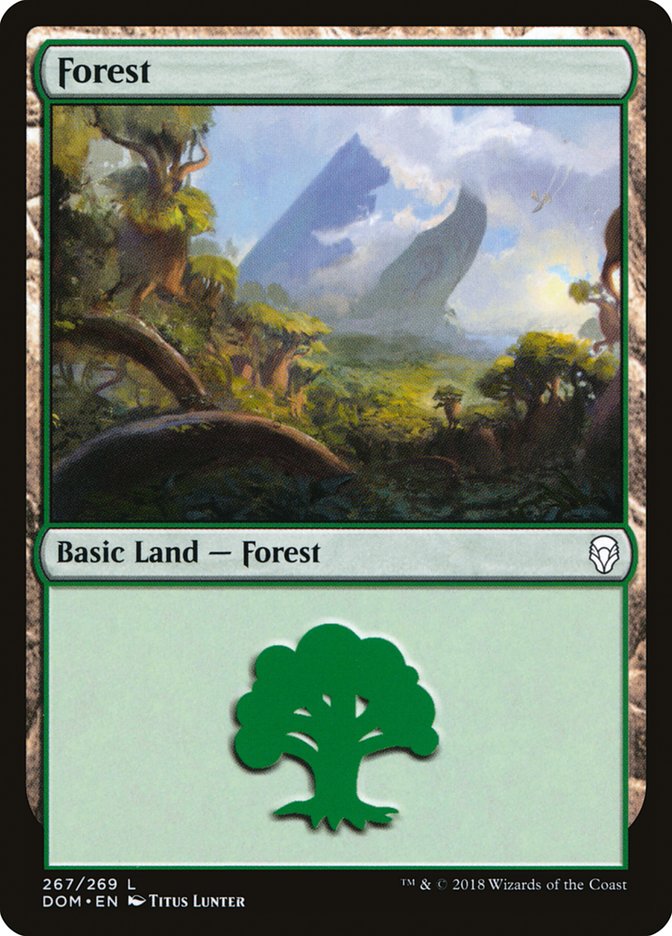 Forest [Dominaria] | Game Haven TX
