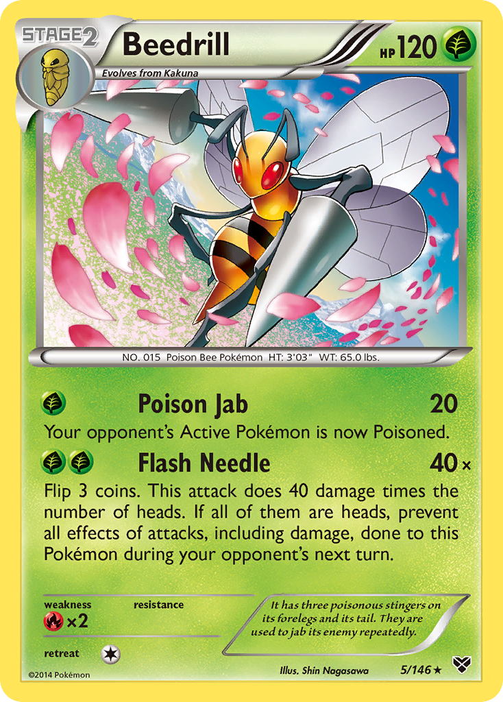 Beedrill (5/146) [XY: Base Set] | Game Haven TX
