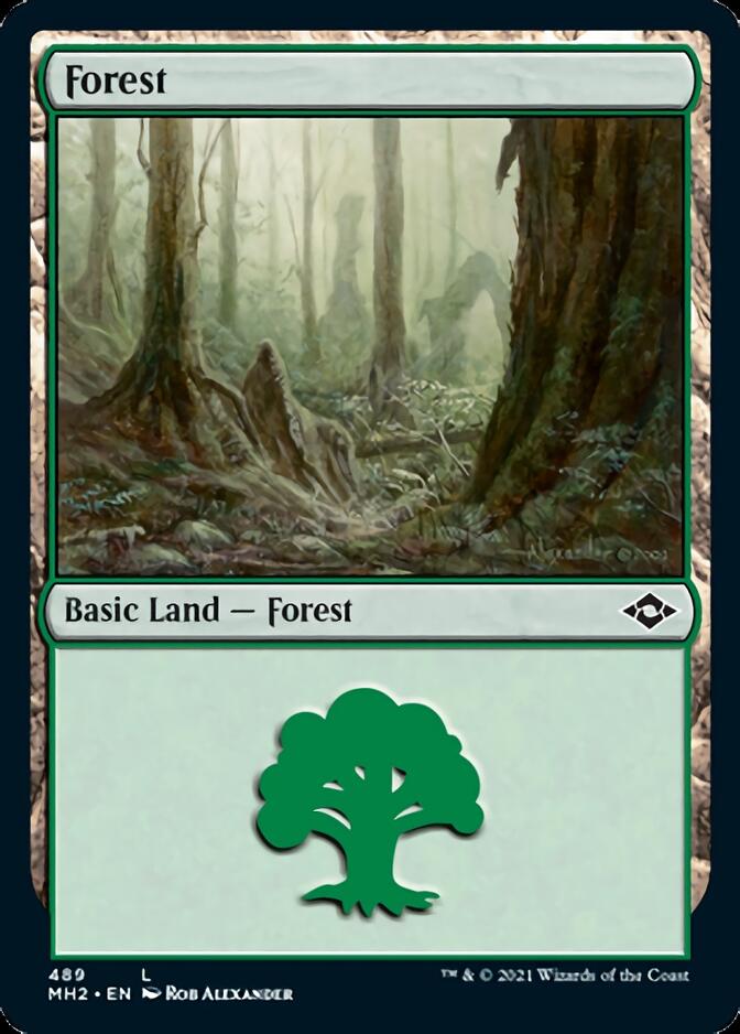 Forest (#489) [Modern Horizons 2] | Game Haven TX