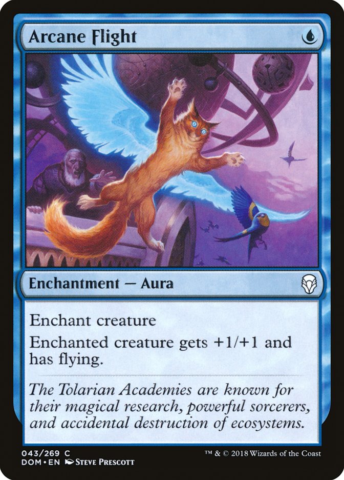 Arcane Flight [Dominaria] | Game Haven TX