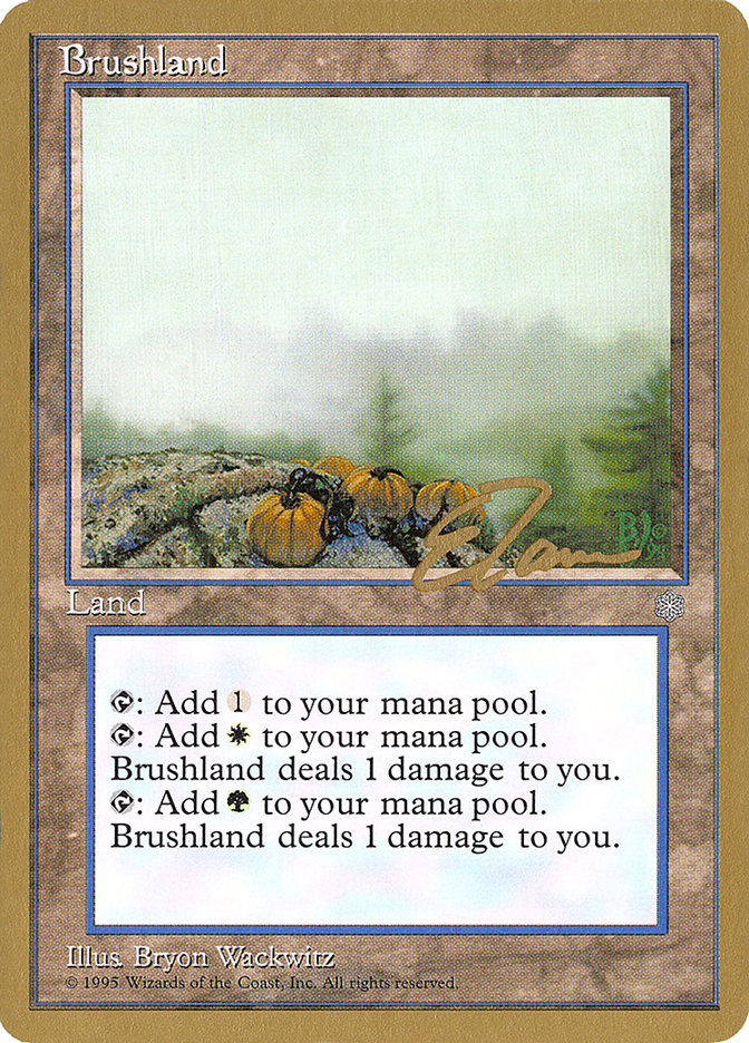 Brushland (Eric Tam) [Pro Tour Collector Set] | Game Haven TX