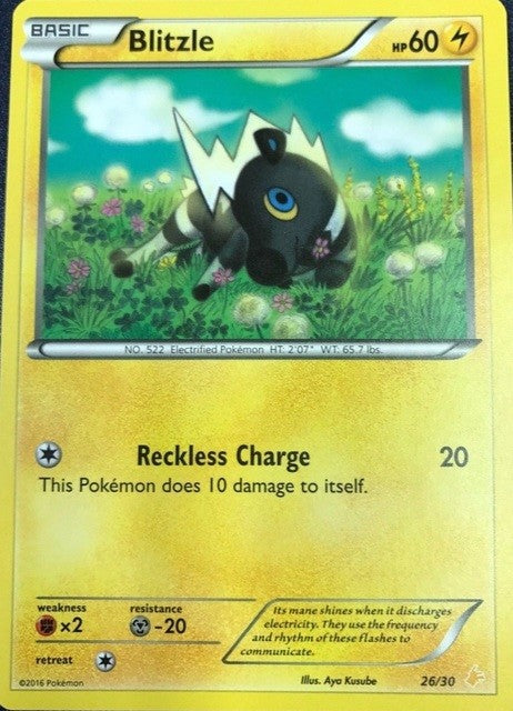 Blitzle (26/30) [XY: Trainer Kit 3 - Pikachu Libre] | Game Haven TX