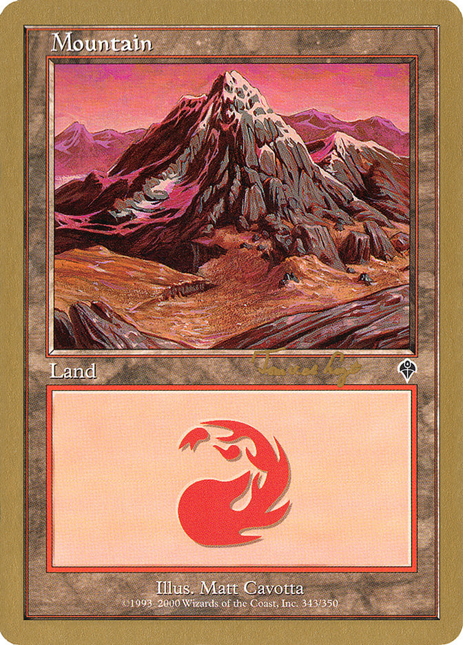 Mountain (tvdl343) (Tom van de Logt) [World Championship Decks 2001] | Game Haven TX