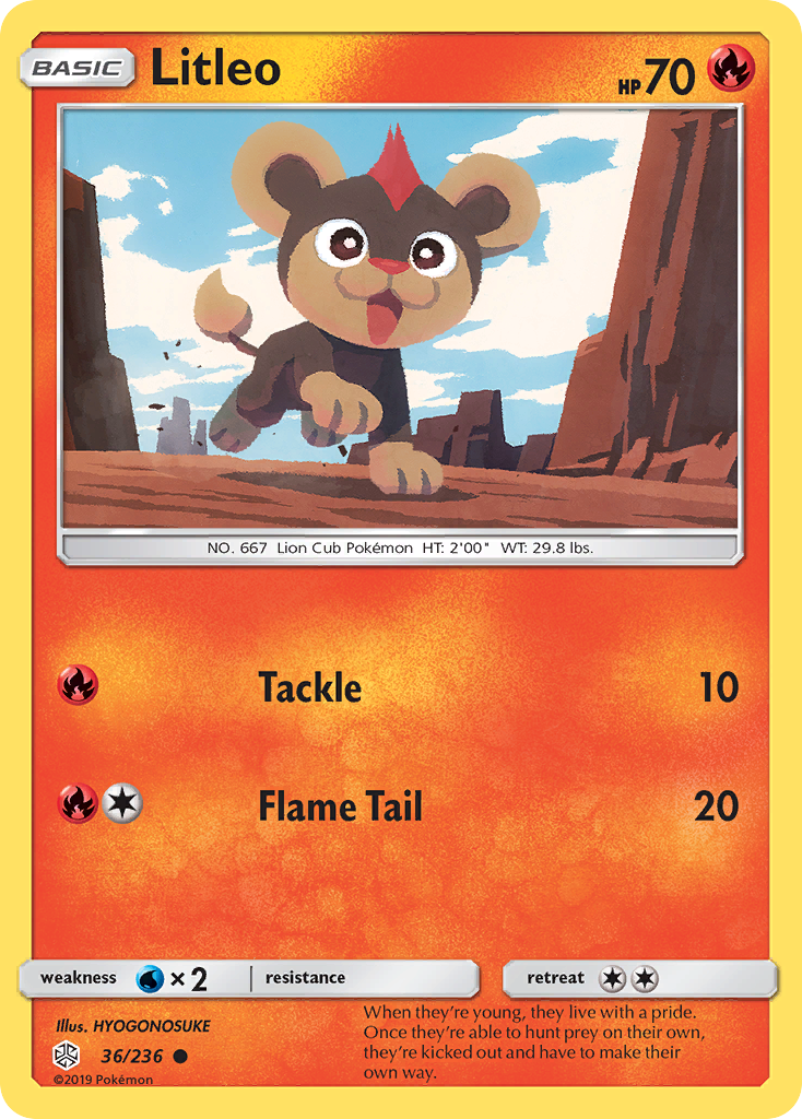 Litleo (36/236) [Sun & Moon: Cosmic Eclipse] | Game Haven TX