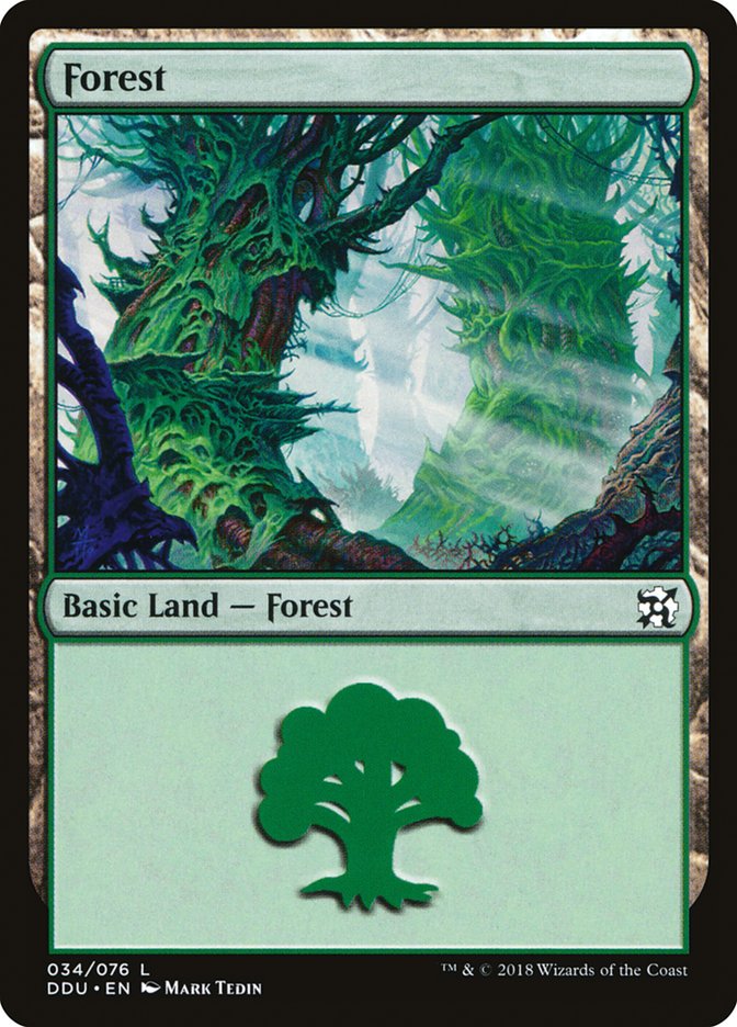 Forest [Duel Decks: Elves vs. Inventors] | Game Haven TX
