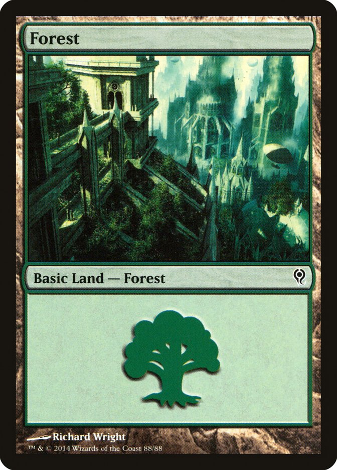 Forest [Duel Decks: Jace vs. Vraska] | Game Haven TX