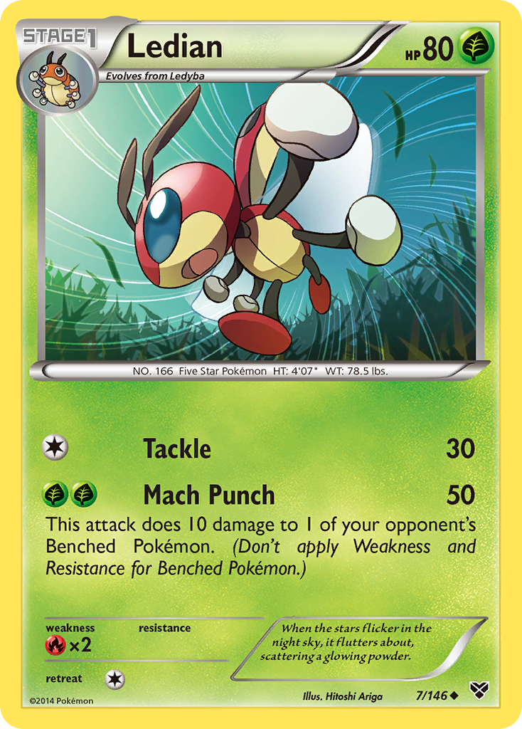 Ledian (7/146) [XY: Base Set] | Game Haven TX