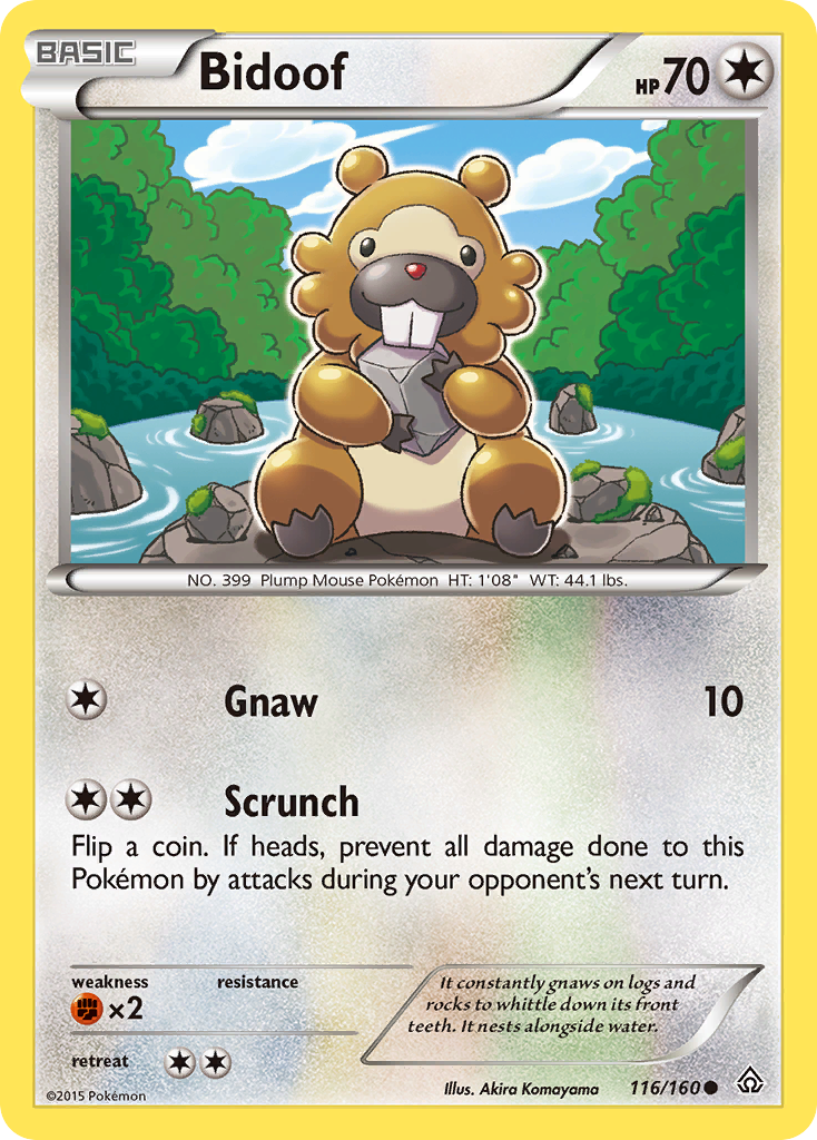 Bidoof (116/160) [XY: Primal Clash] | Game Haven TX