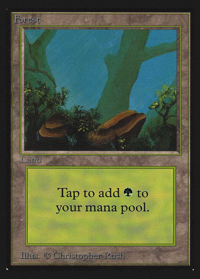 Forest (Rocks)(IE) [Intl. Collectors’ Edition] | Game Haven TX
