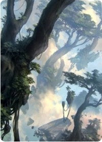 Forest 1 Art Card [Zendikar Rising Art Series] | Game Haven TX